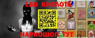 шишки Будённовск