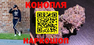 шишки Будённовск