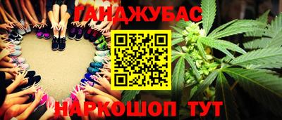 шишки Будённовск