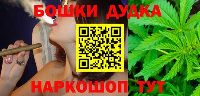 шишки Будённовск