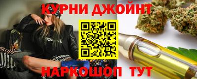 шишки Будённовск