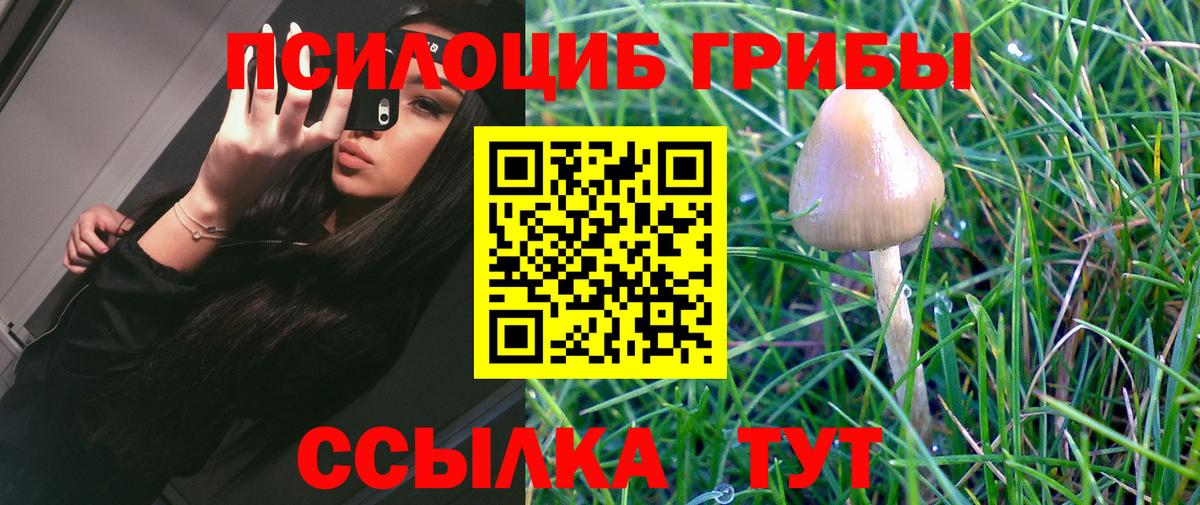 Псилоцибиновые грибы ЛСД Печора