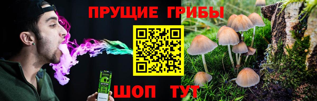 Псилоцибиновые грибы мицелий  Вход с VPN  Печора 